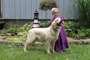 IMG_0487 Diamond - female_640x427